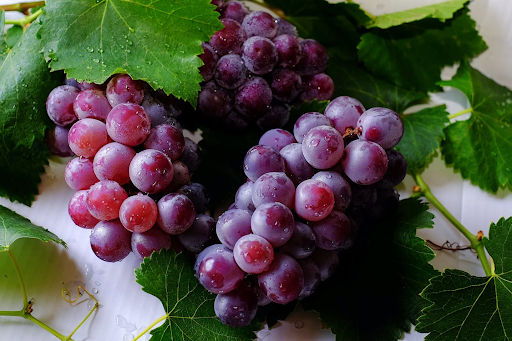 ocet winogronowy